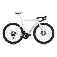 G113 Edge Crystal White